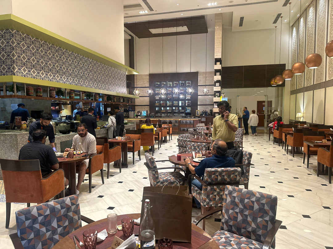 新德里贾纳克普里凯悦尚萃酒店主图