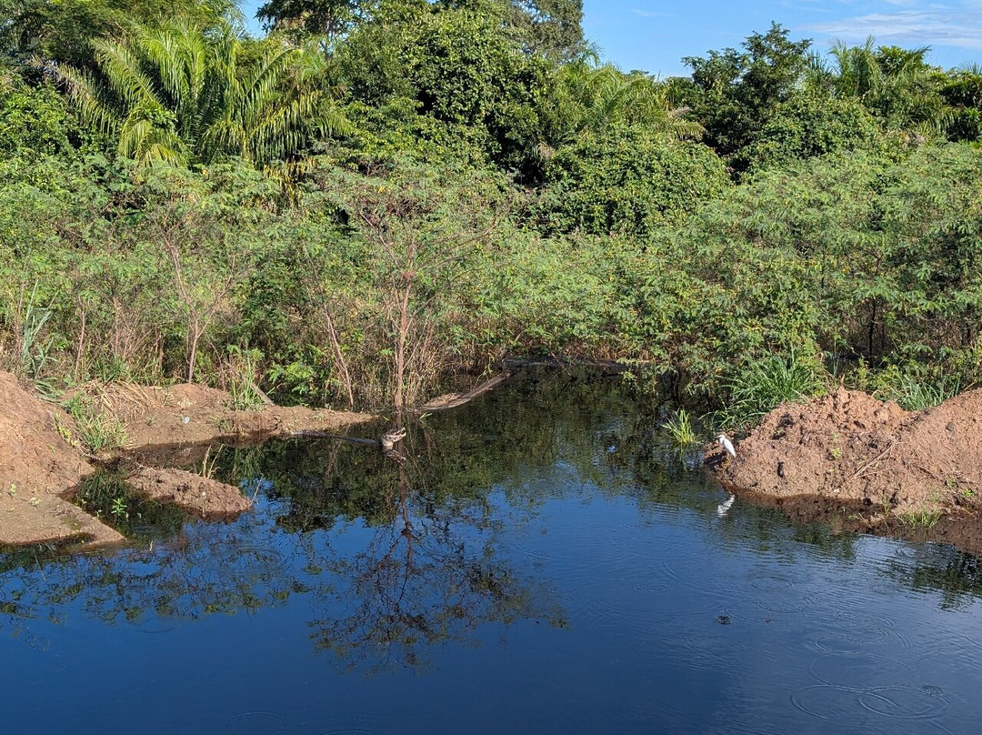 Pantanal Viagens e Turismo-大坎普市必去景点
