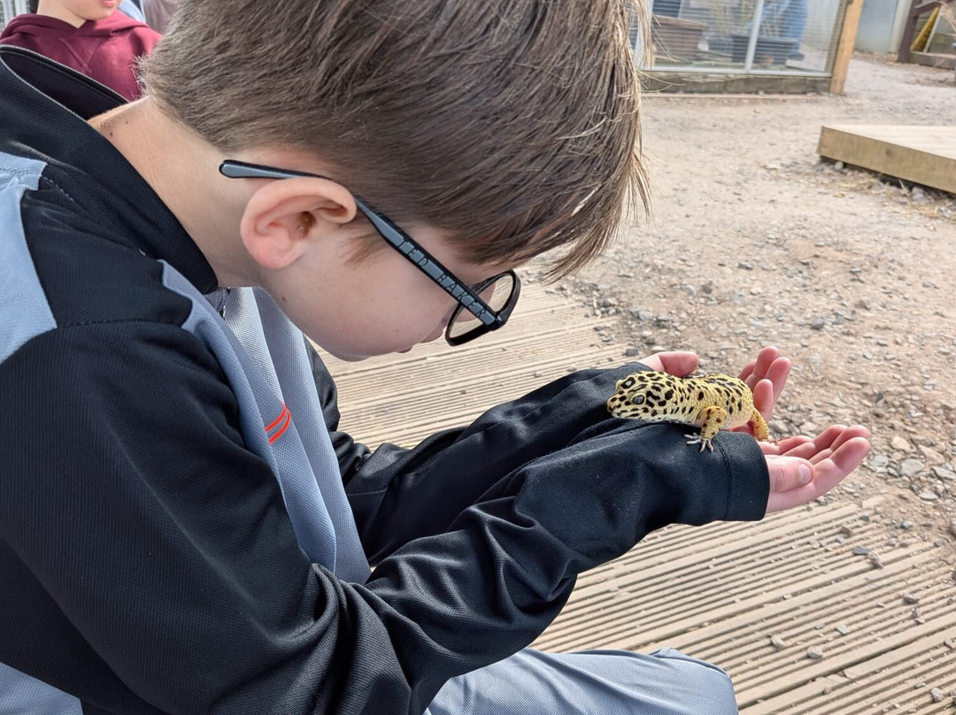 Promenade Park Petting Zoo-Maldon必去景点