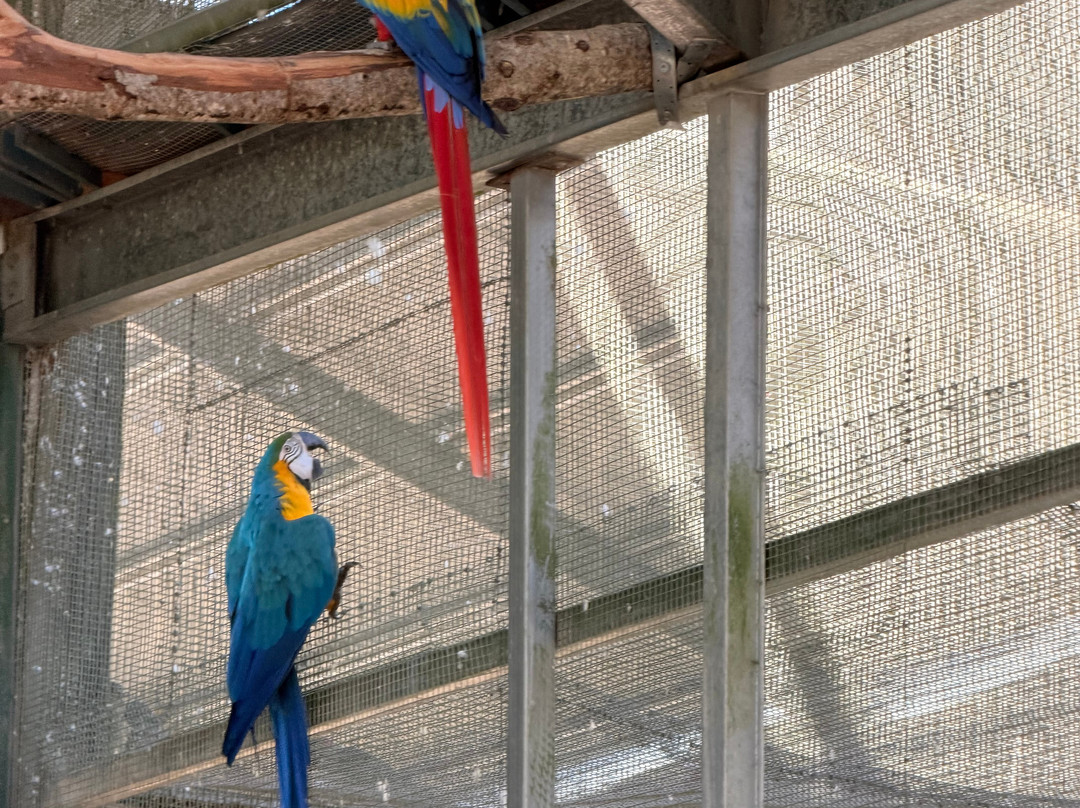 Maleny Botanic Gardens & Bird World-马莱尼必去景点
