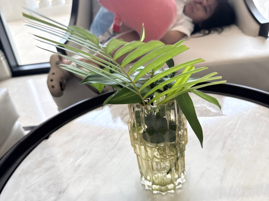 河静美利亚珍珠夸索海滩度假酒店主图