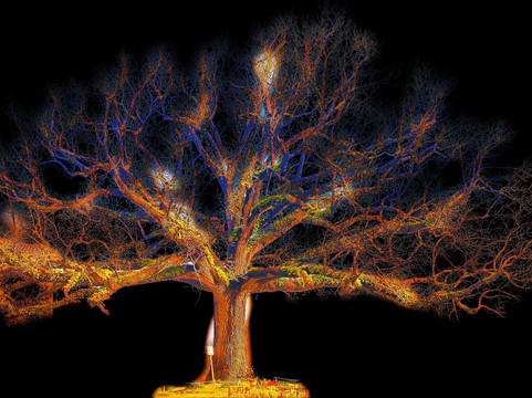 Abbaye Notre - Dame De Sablonceaux-Sablonceaux必去景点