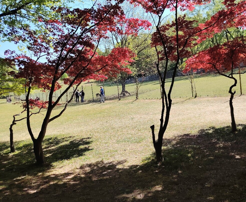 Parco Giardino Sigurtà-明乔河畔瓦莱焦必去景点