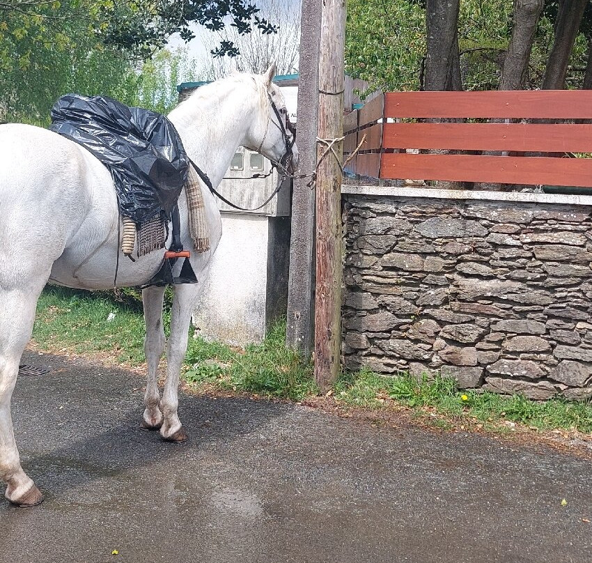 Galiwonders-比戈必去景点