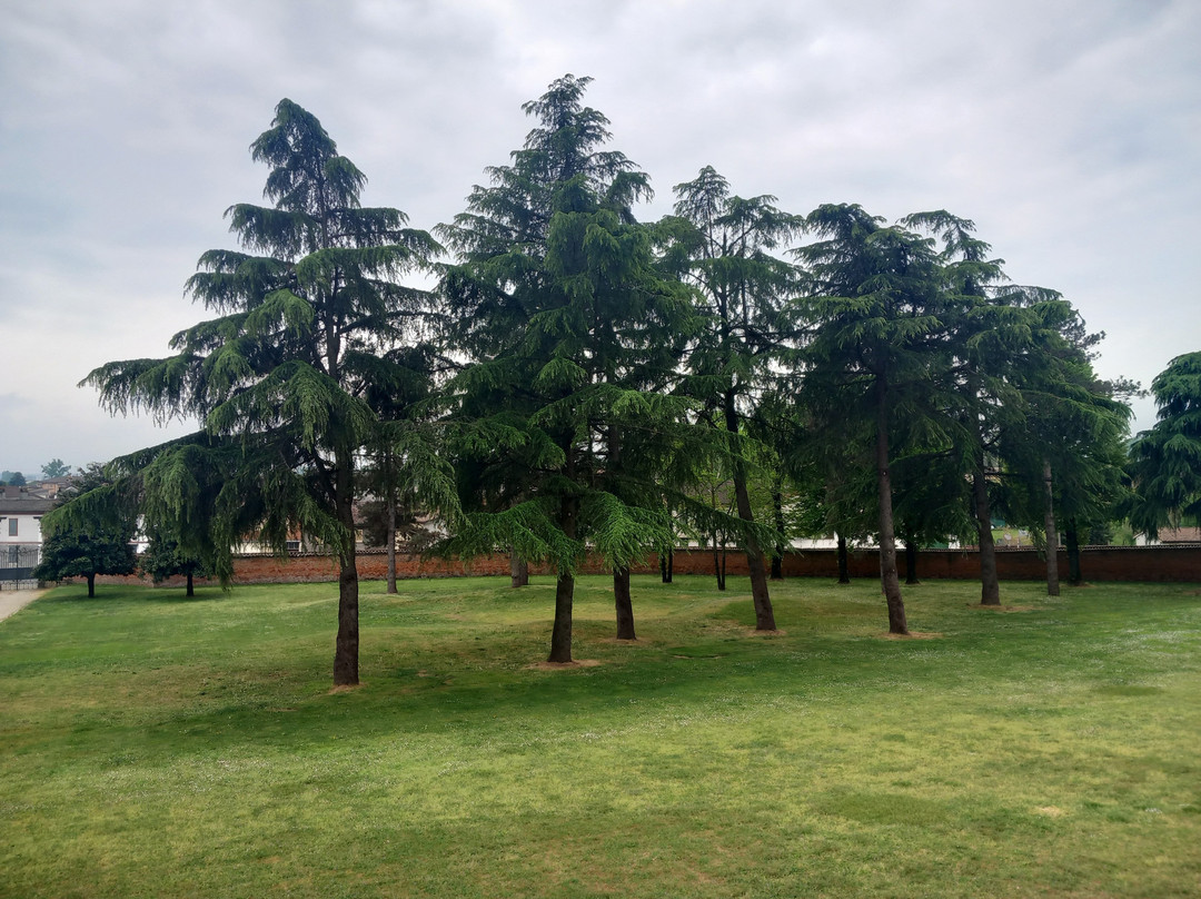 Castello Di Chignolo Po-Chignolo Po必去景点