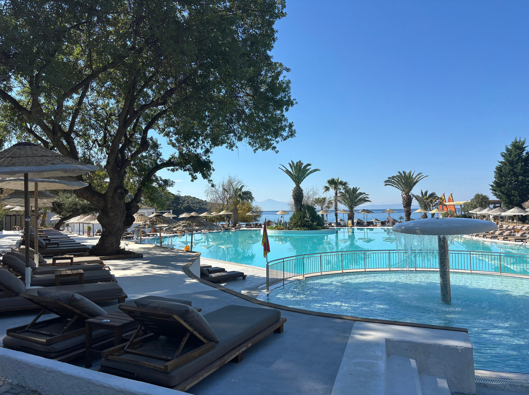 俱乐部马尔维酒店主图