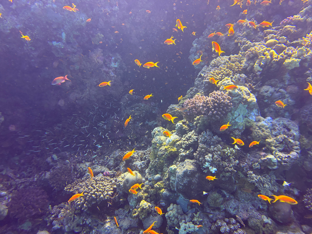 Egypt International-赫尔格达必去景点