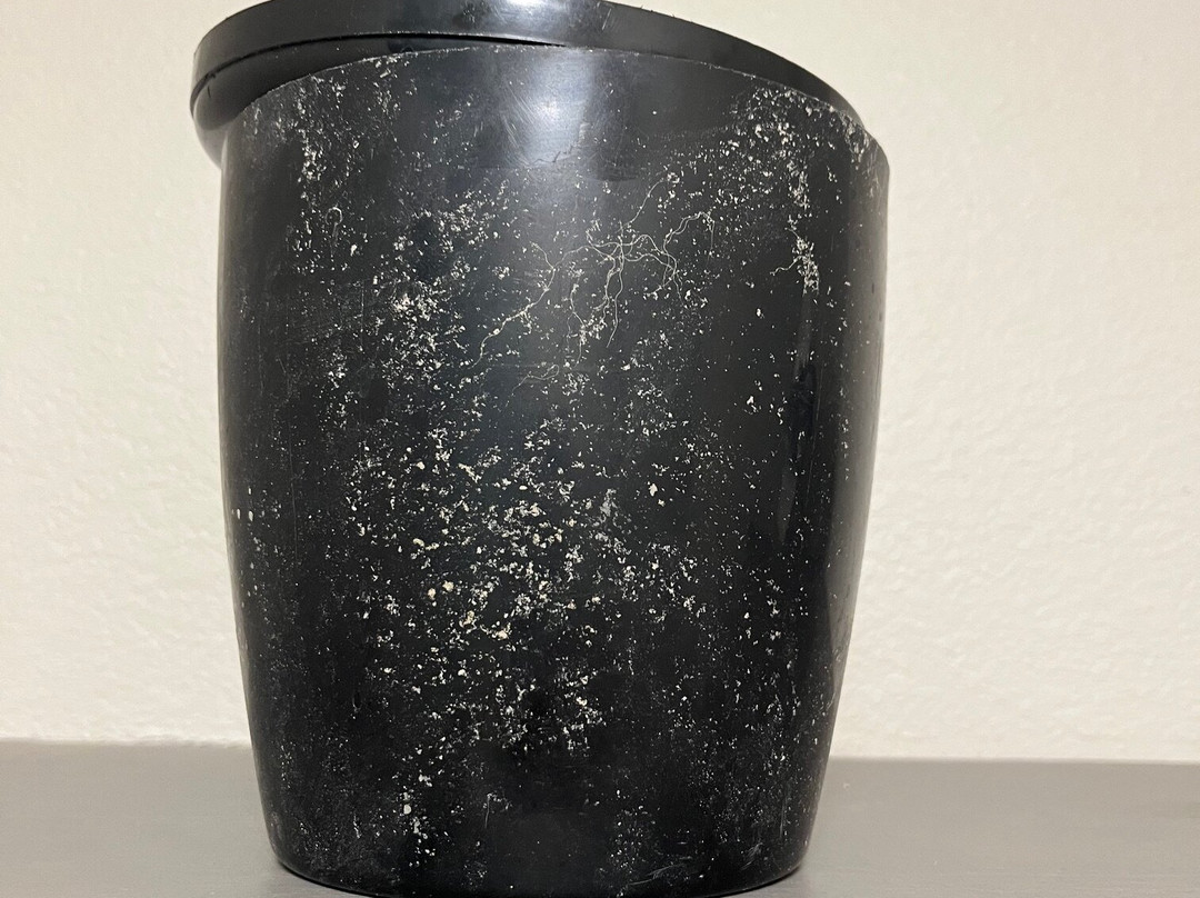 布莱克韦尔I-35温德姆呗盟酒店主图