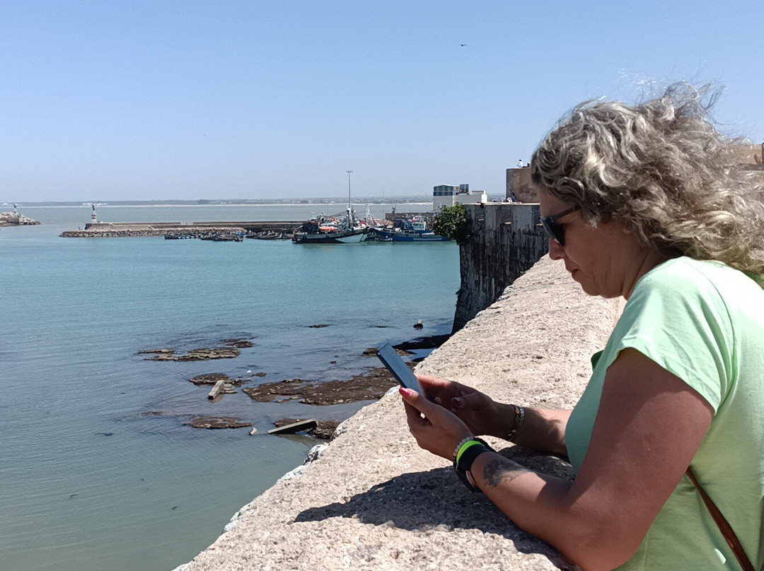 L'Araignée Gourmande主图