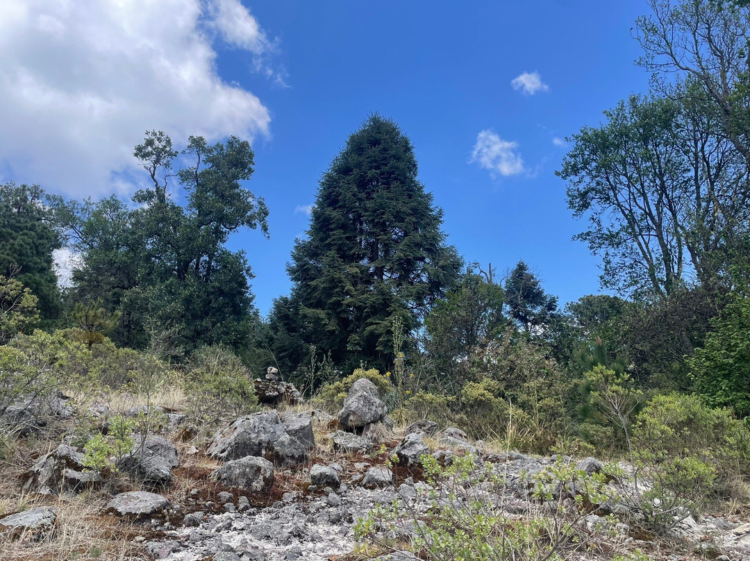 Mexico Travesias-墨西哥城必去景点