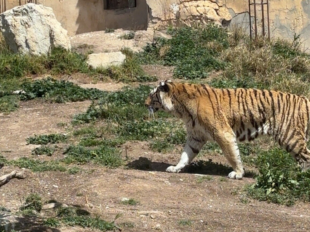 Terra Natura Benidorm-贝尼多姆必去景点