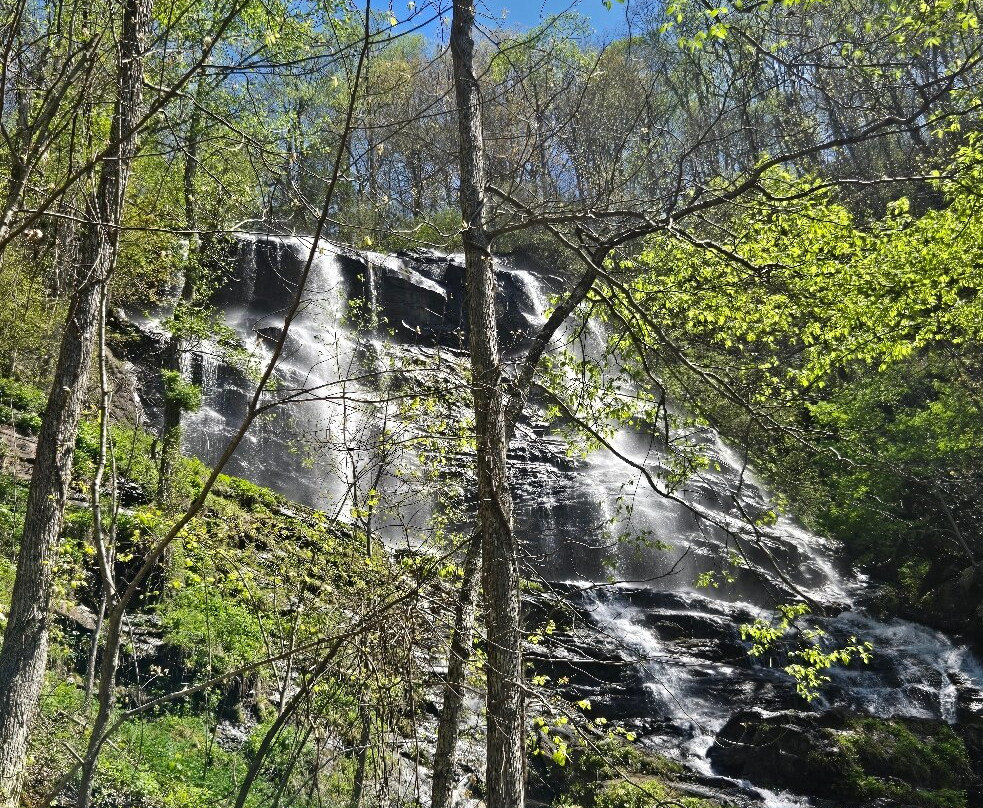 Amicalola Falls State Park-道森维尔必去景点