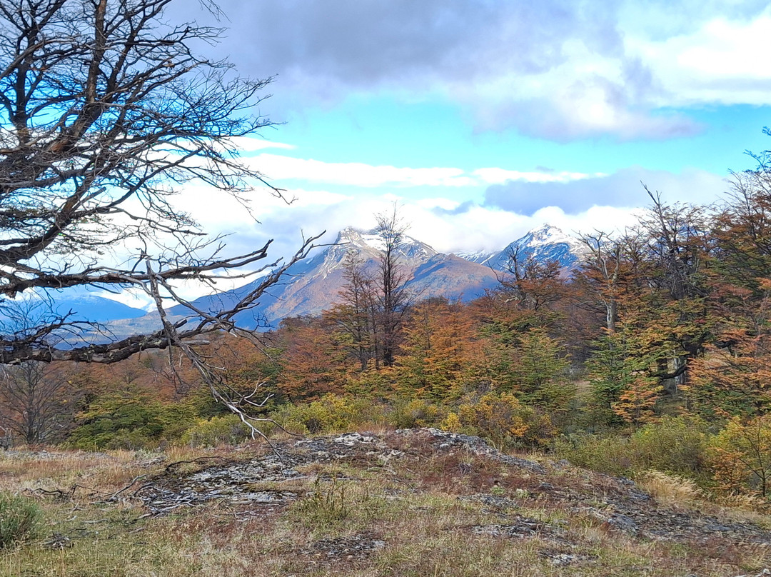 Tour Rupestre Patagonia