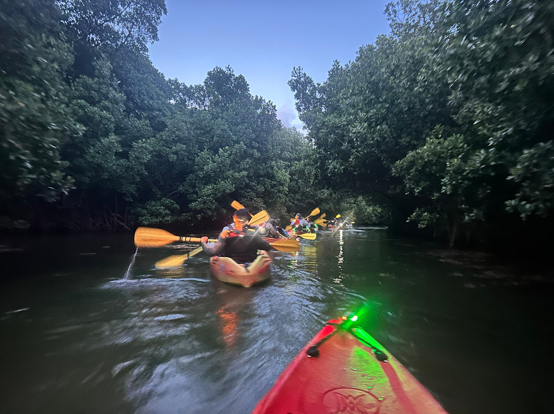 Puerto Rico Bio Bay Tours LLC-法哈多必去景点