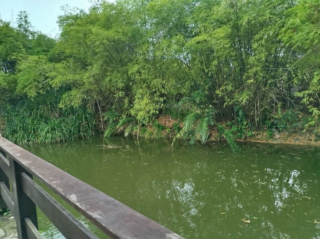 德维尔萨尔瓦多高级酒店主图