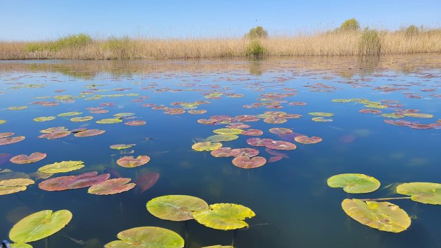 Vila Delta Travel - Mila 23-旅行者