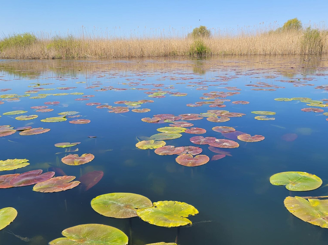 Vila Delta Travel - Mila 23主图