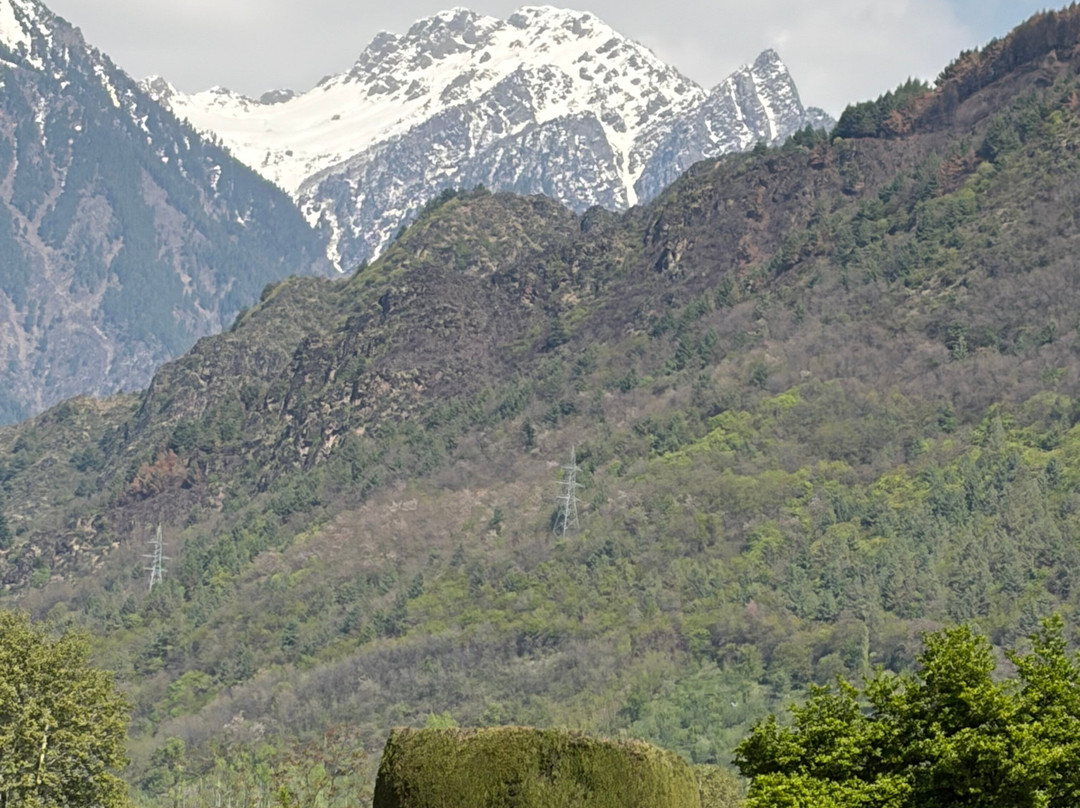 拉利特大皇宫斯里纳格酒店主图