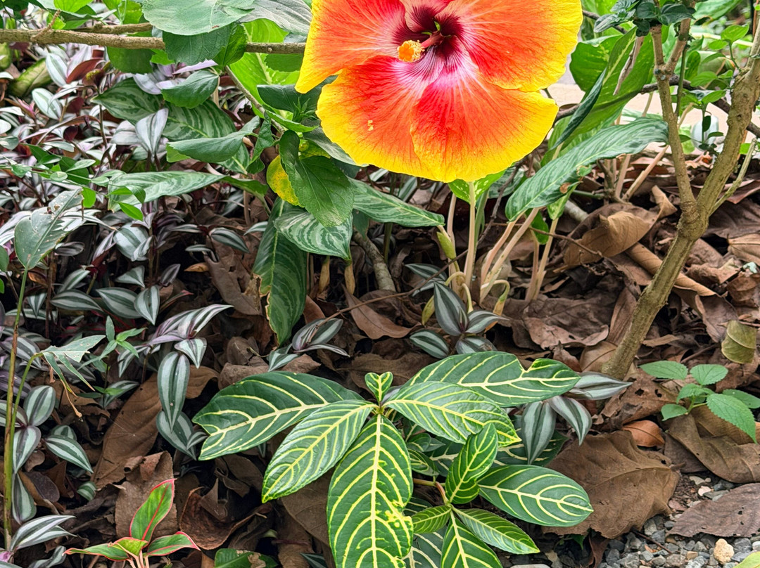 洛斯奥托斯度假村主图