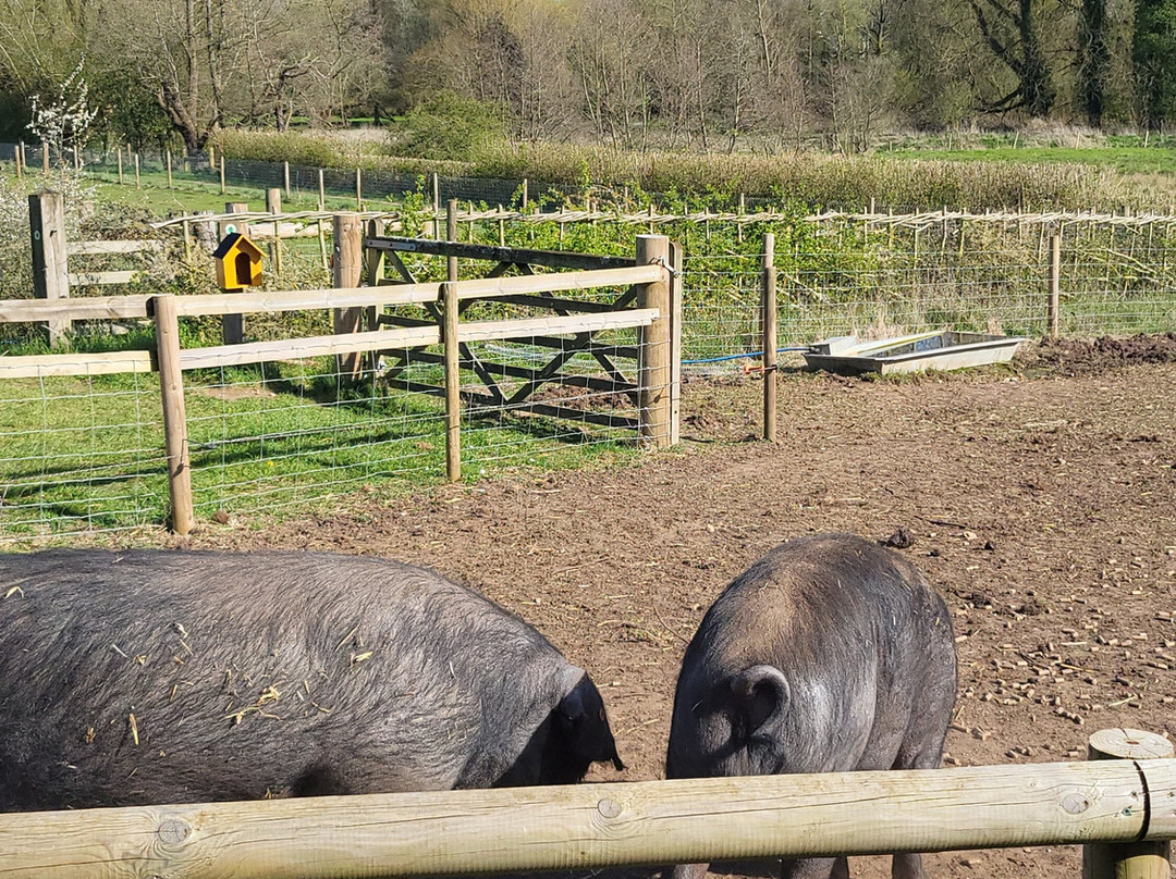 Gressenhall Farm And Workhouse-Dereham必去景点