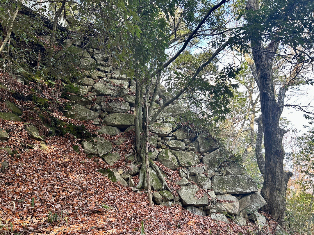 Ruins of Mt. Hachiman Castle-近江八幡市必去景点