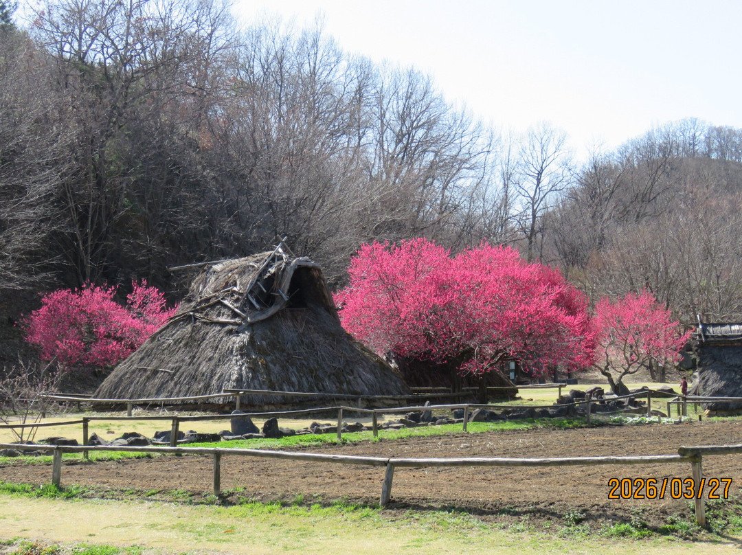 Mori Shogunzuka Museum Chikuma City-千曲市必去景点