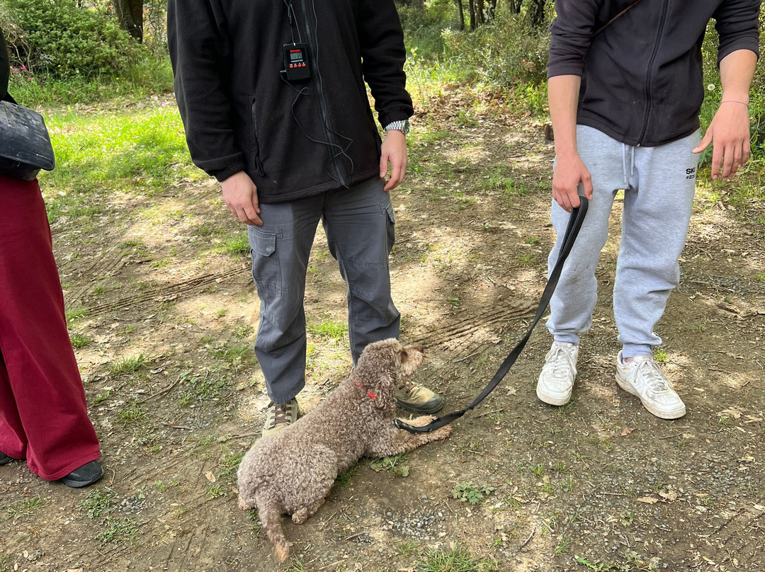 Truffle Hunting-卡兰巴卡必去景点