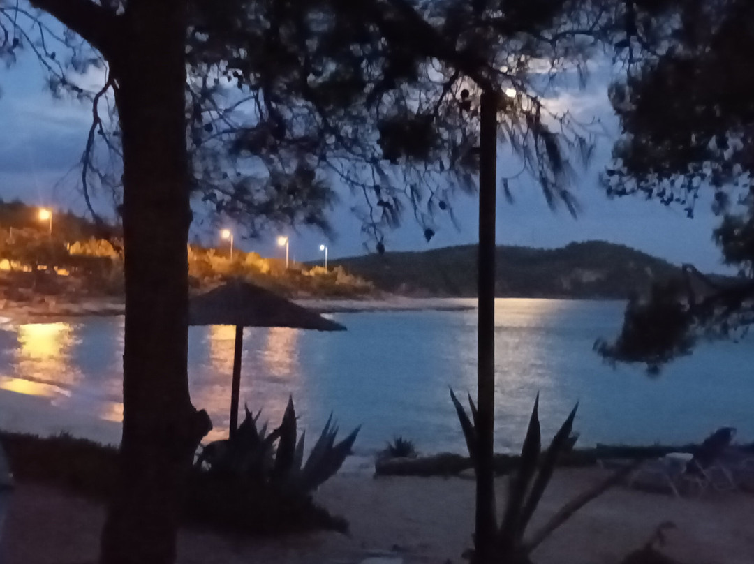 Blue Velvet Beach Bar