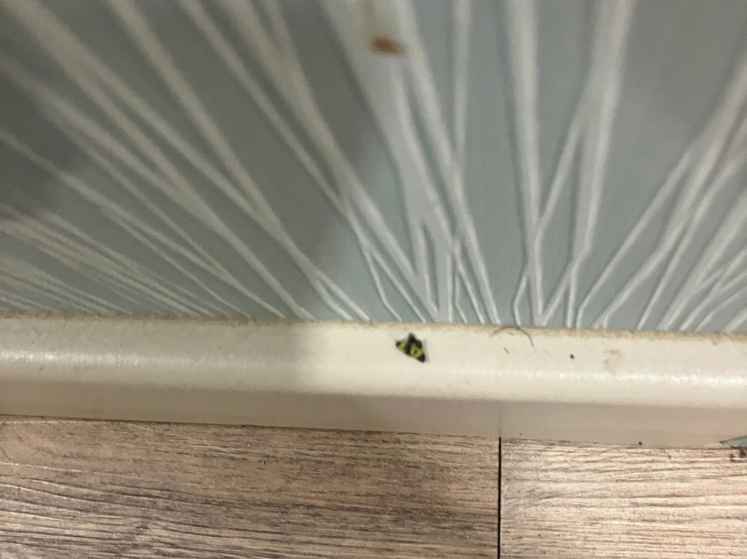 梅迪辛哈特温德姆华美达酒店主图