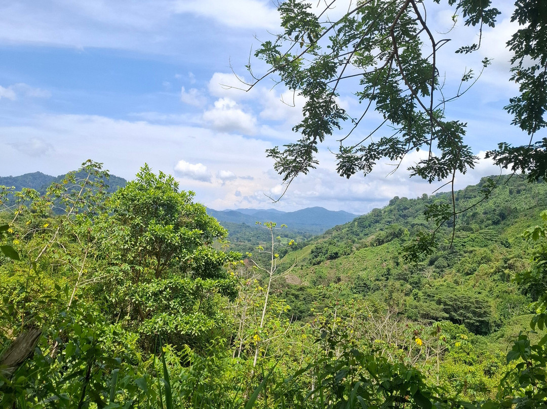 迷失之城-圣玛尔塔必去景点