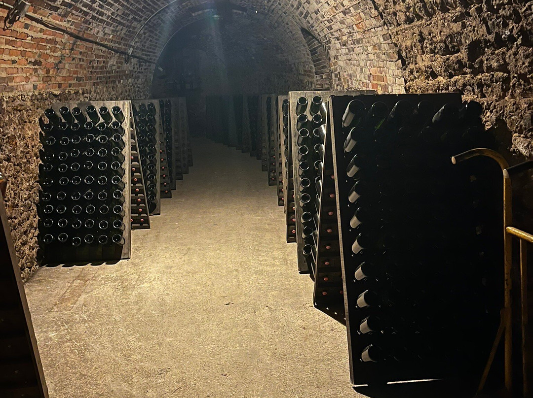 Champagne Jean Marniquet-Avenay-Val-d'Or必去景点
