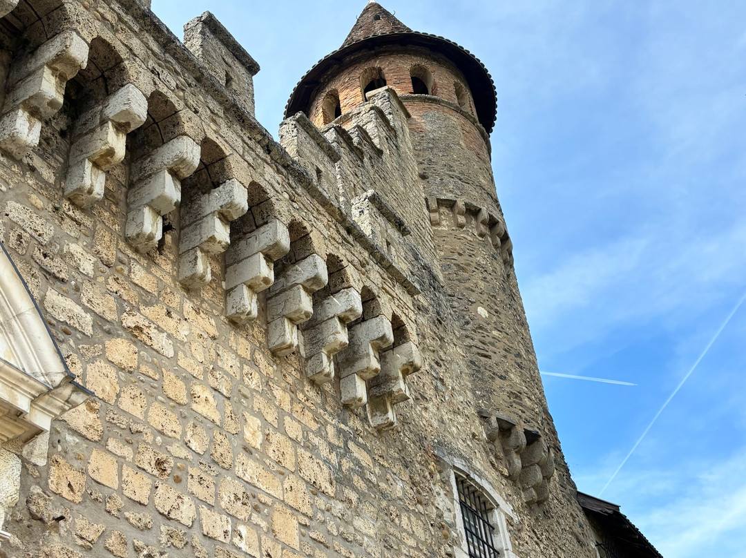 Château de Virieu-Virieu必去景点