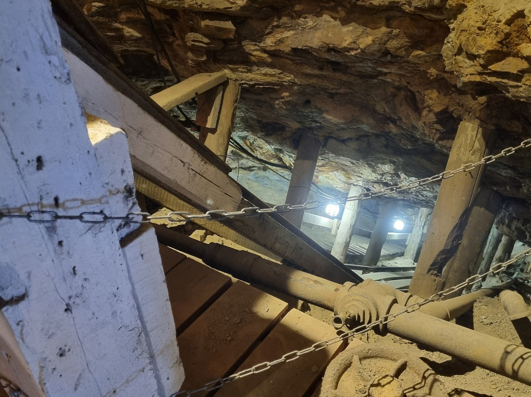 Phoenix Gold Mine-Idaho Springs必去景点