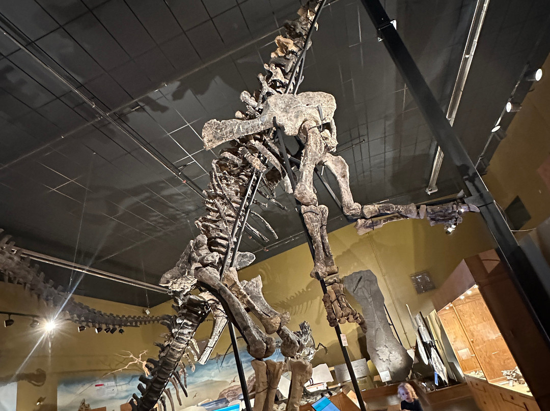 Wyoming Dinosaur Center-瑟莫波利斯必去景点