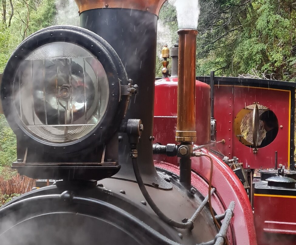 West Coast Wilderness Railway-皇后镇必去景点