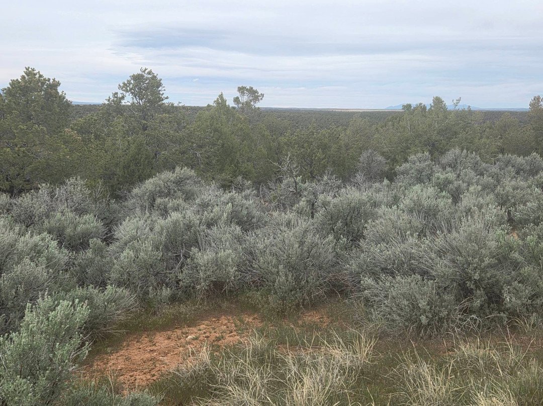 Canyons Of The Ancients National Monument