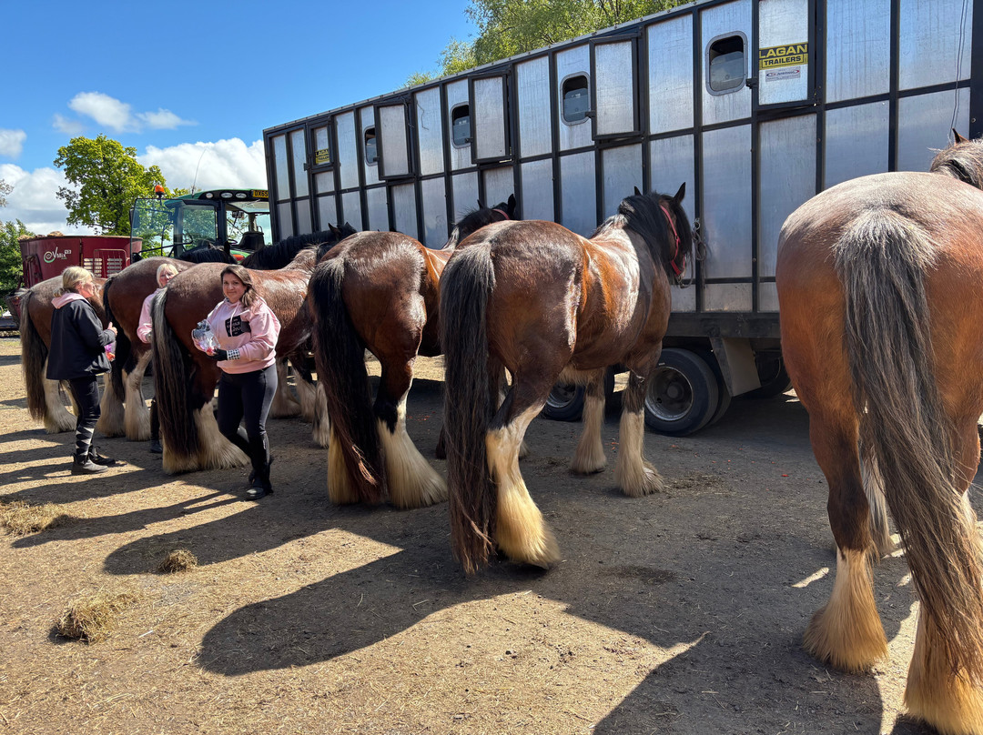 Blackstone Clydesdales Experience-Cumnock必去景点