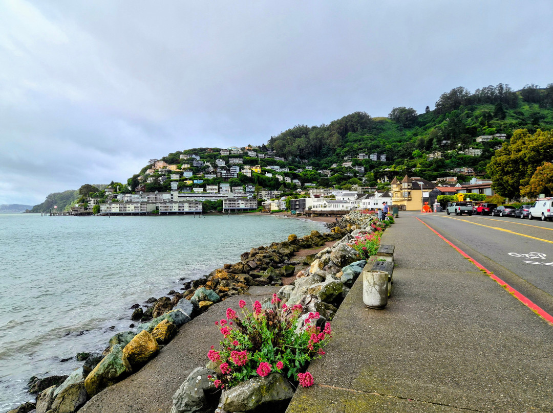 Sausalito Boardwalk-索萨利托必去景点