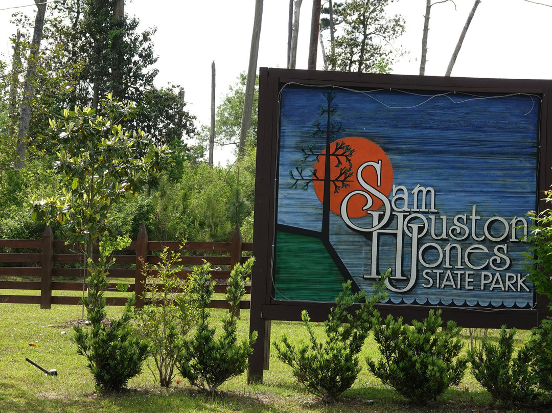 Sam Houston Jones State Park-莱克查尔斯必去景点