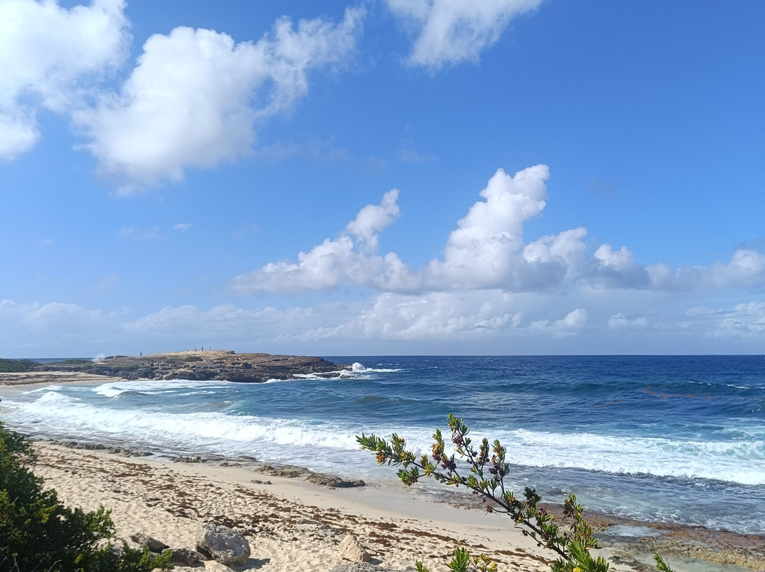 Pointe des Chateaux-Saint Francois必去景点