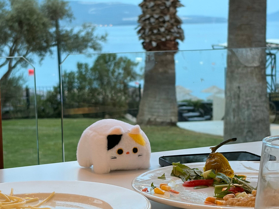 Duja Didim主图