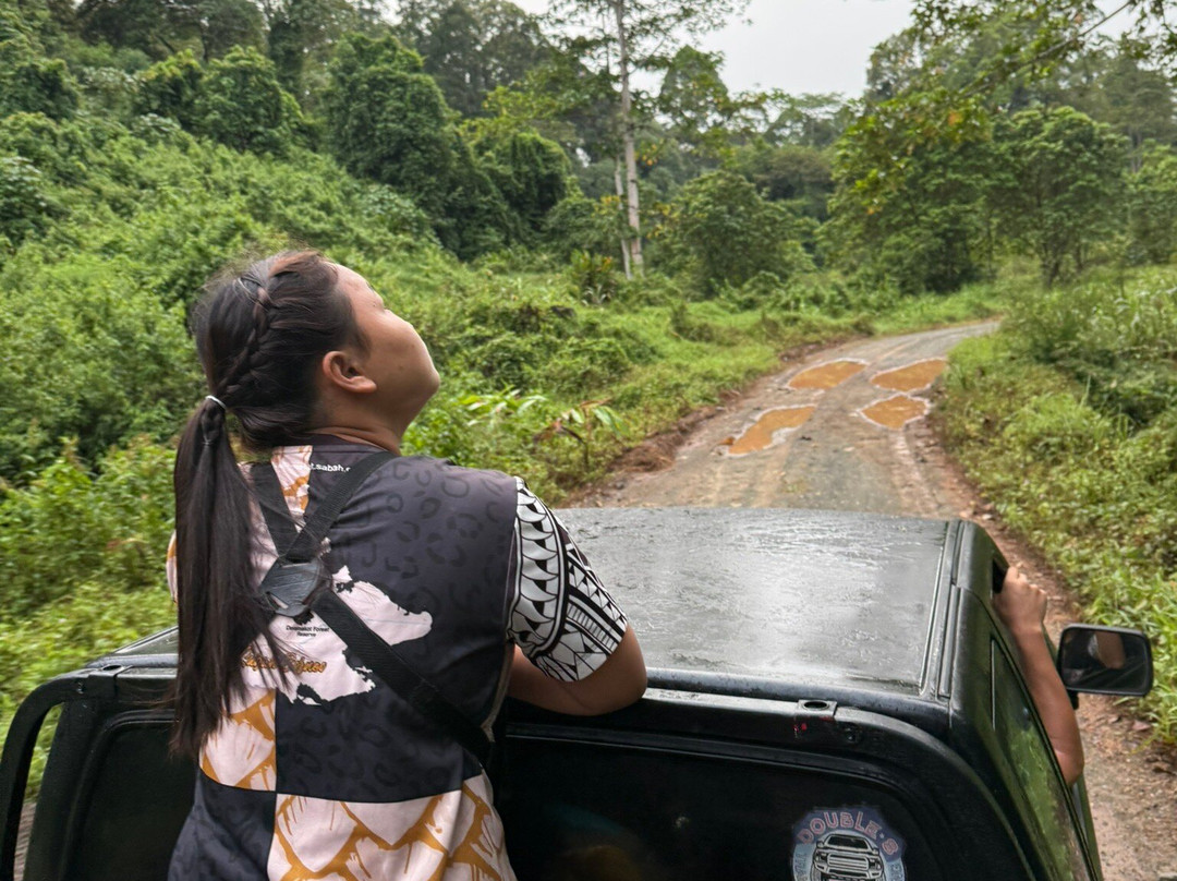 Deramakot Forest Reserve-山打根必去景点