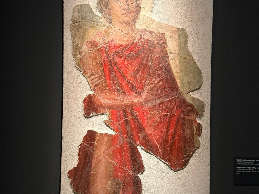 Museo archeologico di Stabiae "Libero D’Orsi"-斯塔比亚海堡必去景点