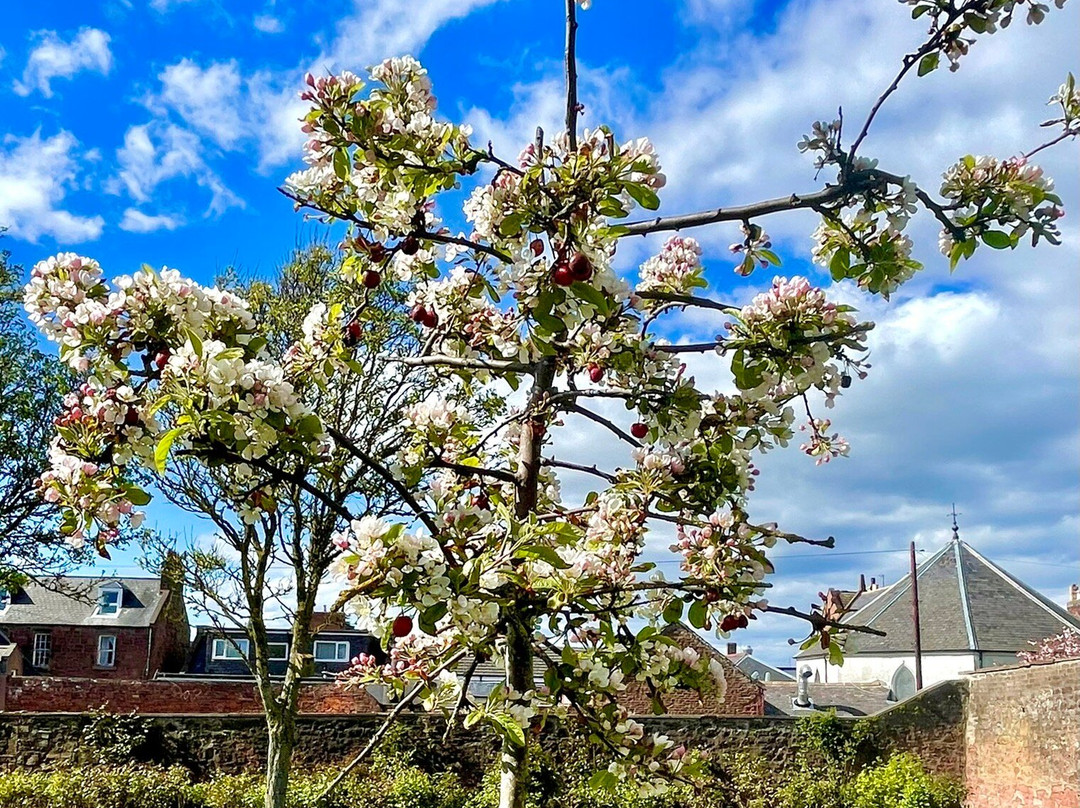 Springfield Rose Garden-Carmyllie必去景点
