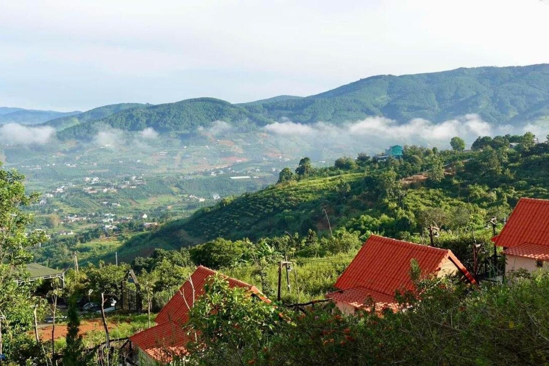 Dreamers Garden Farmstay