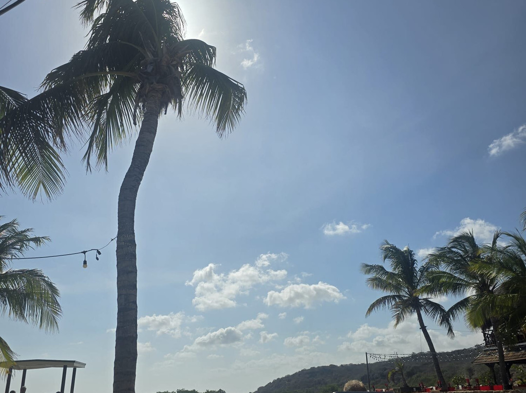 Jan Thiel Beach-威廉斯塔德必去景点