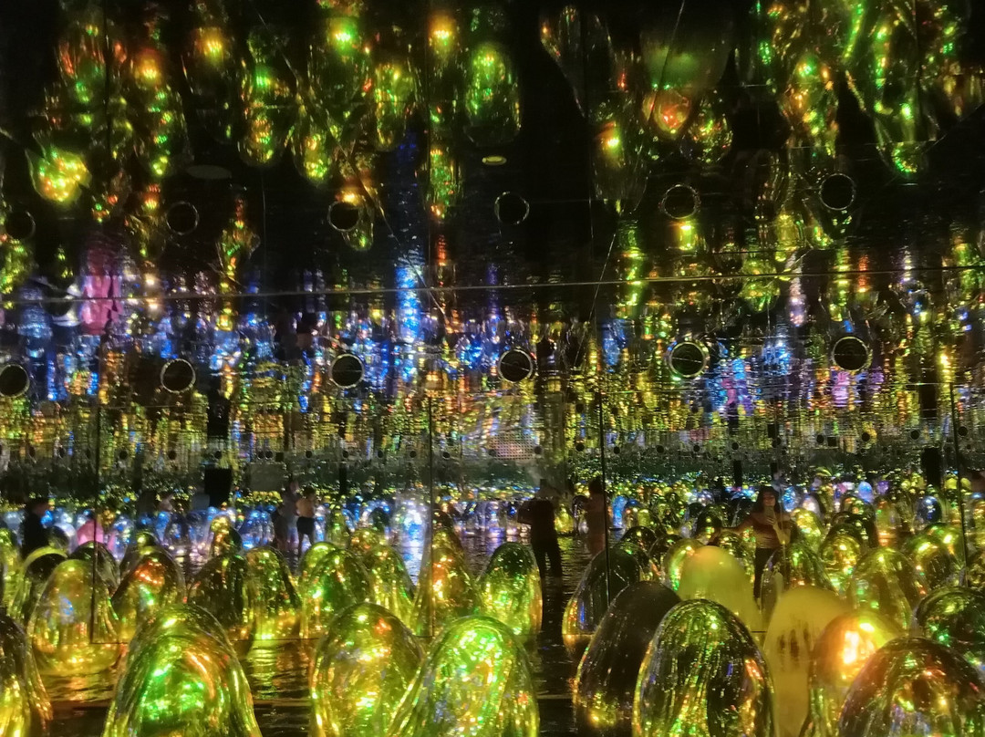 teamLab Phenomena Abu Dhabi-阿布扎比必去景点