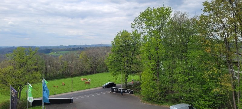 Parkhotel Hachenburg-旅行者
