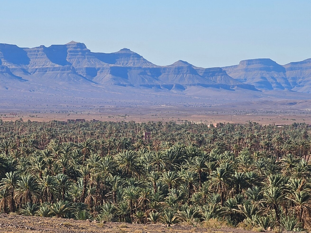 Morocco Easy Tours - Morocco Tours-马拉喀什必去景点