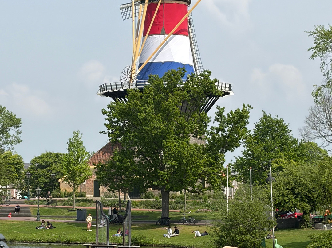 Leiden American Pilgrim Museum-莱顿必去景点